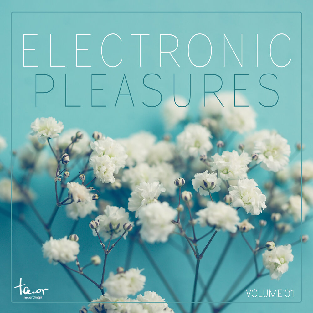 Electronic Pleasures, Vol. 1 1000x1000.jpg