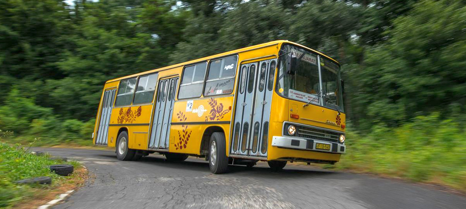 Ikarus-260.jpg