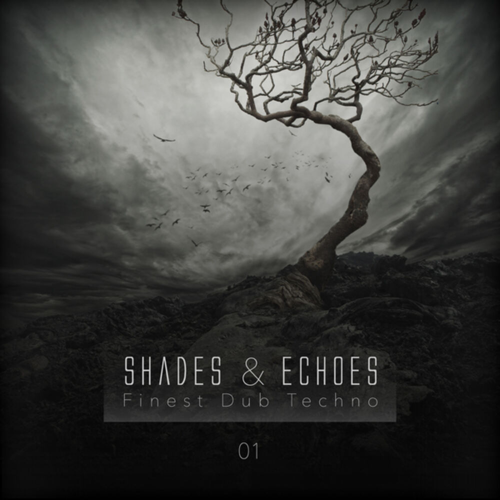 Shades & Echoes - Finest Dub Techno, Vol. 1 1000x1000.jpg