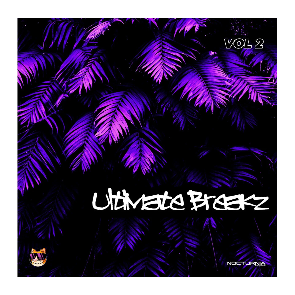 Ultimate Breakz Vol.2 1000x1000.jpg