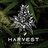 HARVEST_market